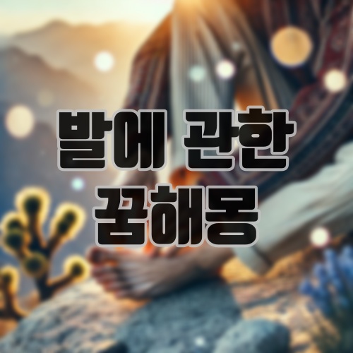 발에 관한 꿈해몽
