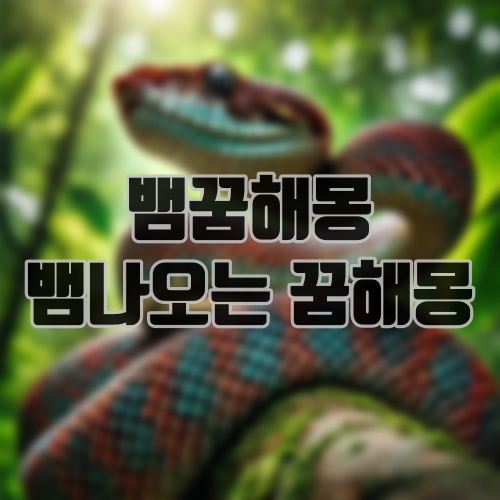 뱀꿈해몽 뱀나오는 꿈해몽